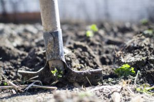 Digging for old blog posts hurts your SEO