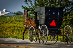 Google's speed update changed very little in the SEO world