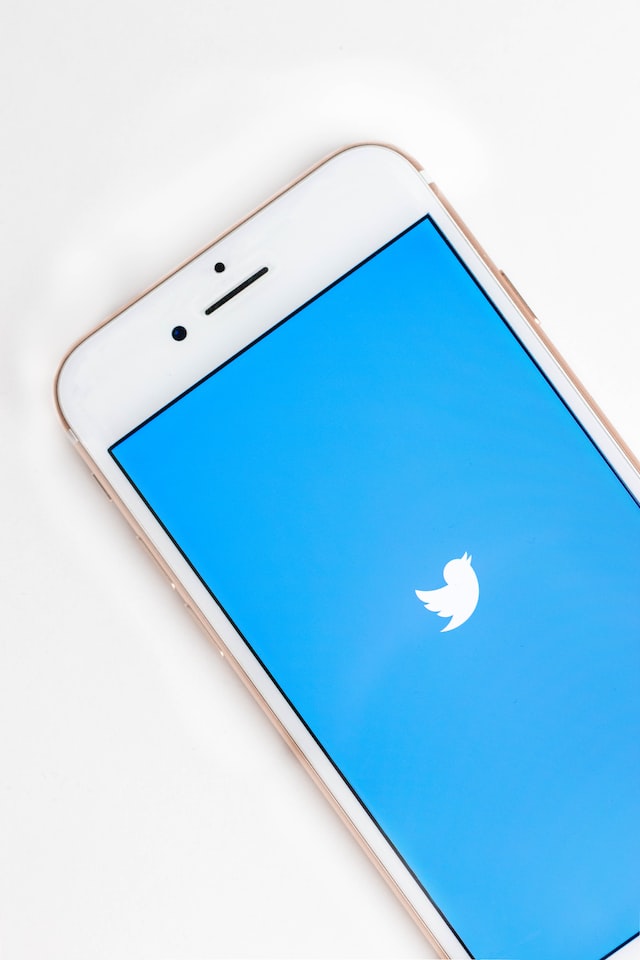 Twitter logo on a phone